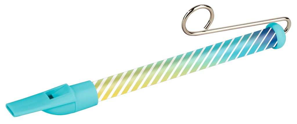 PhänoMINT Schiebeflöte