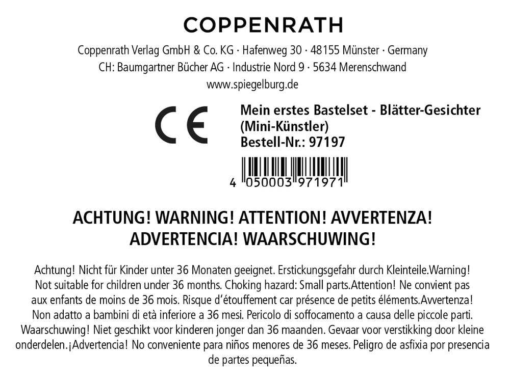 Mein erstes Bastelset Blätter-Gesichter