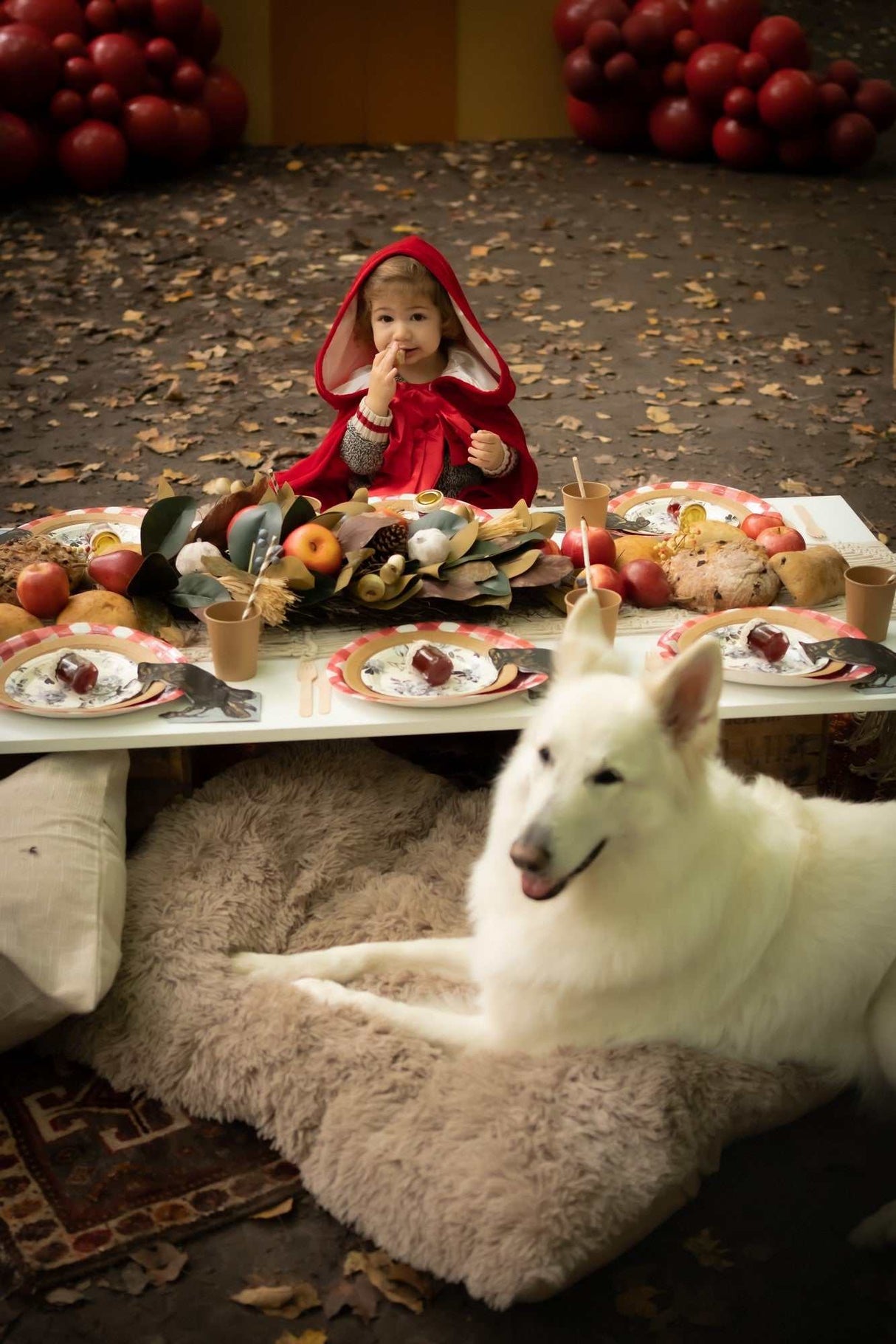 Rotkäppchen Cape 4-6 Jahre