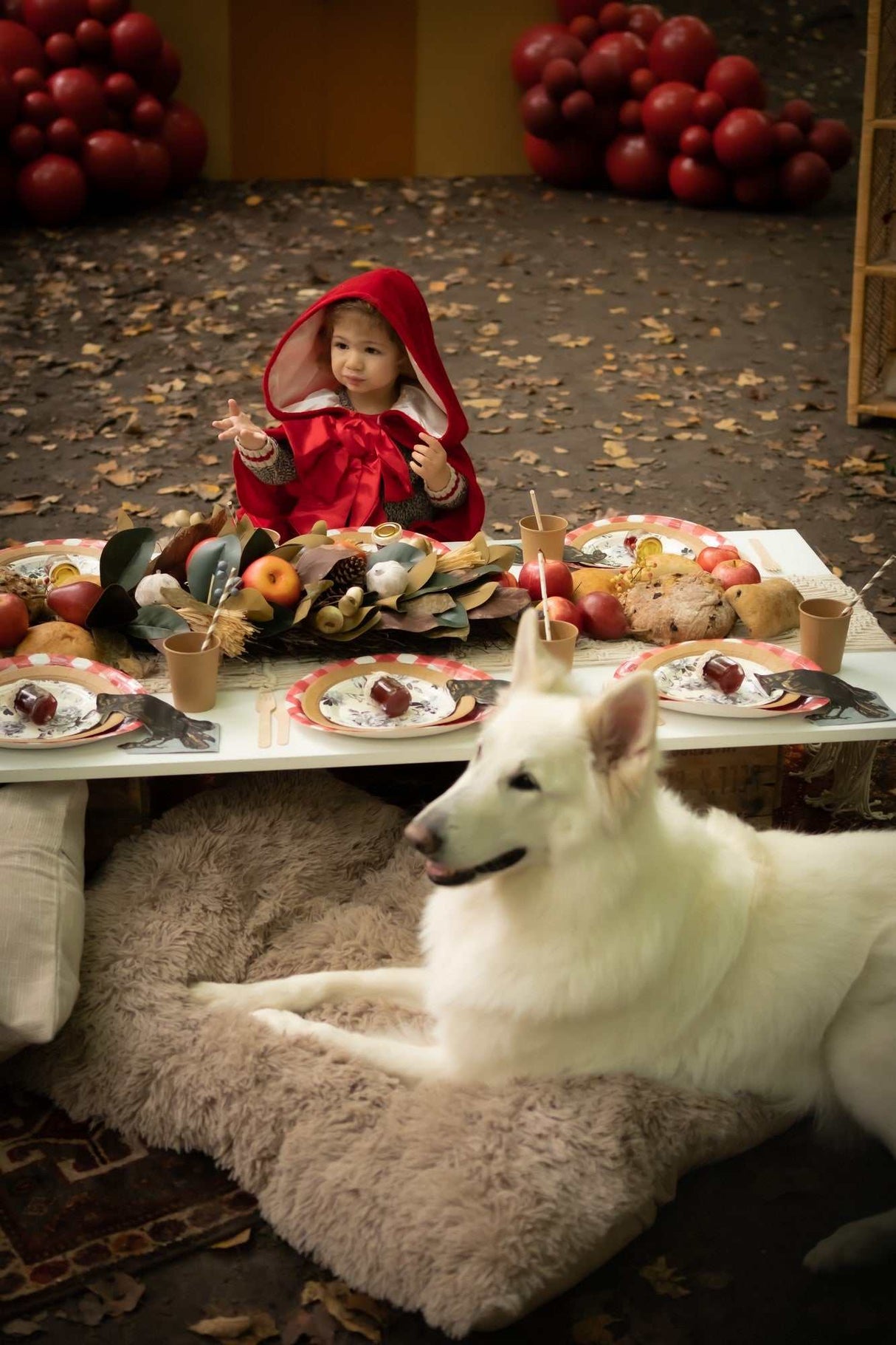 Rotkäppchen Cape 4-6 Jahre