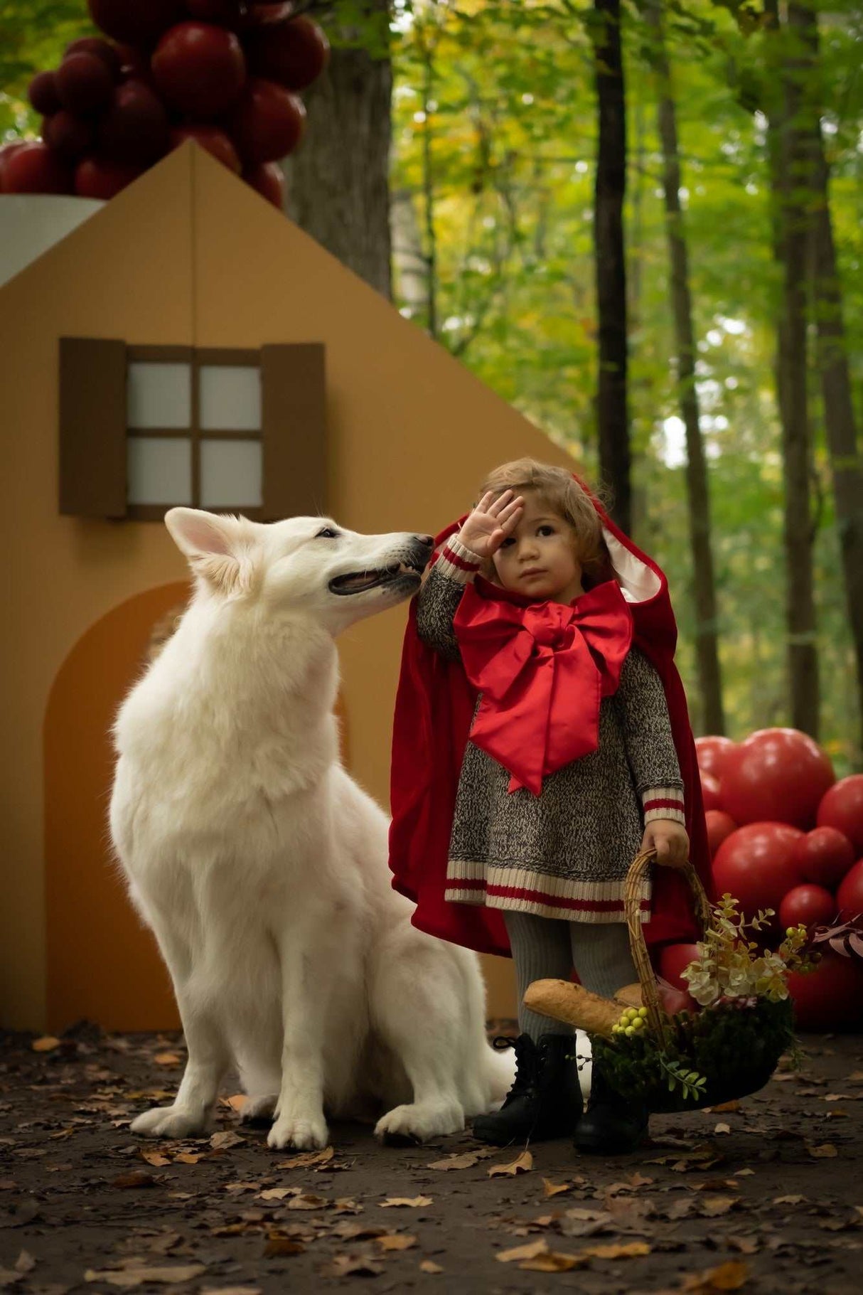 Rotkäppchen Cape 4-6 Jahre