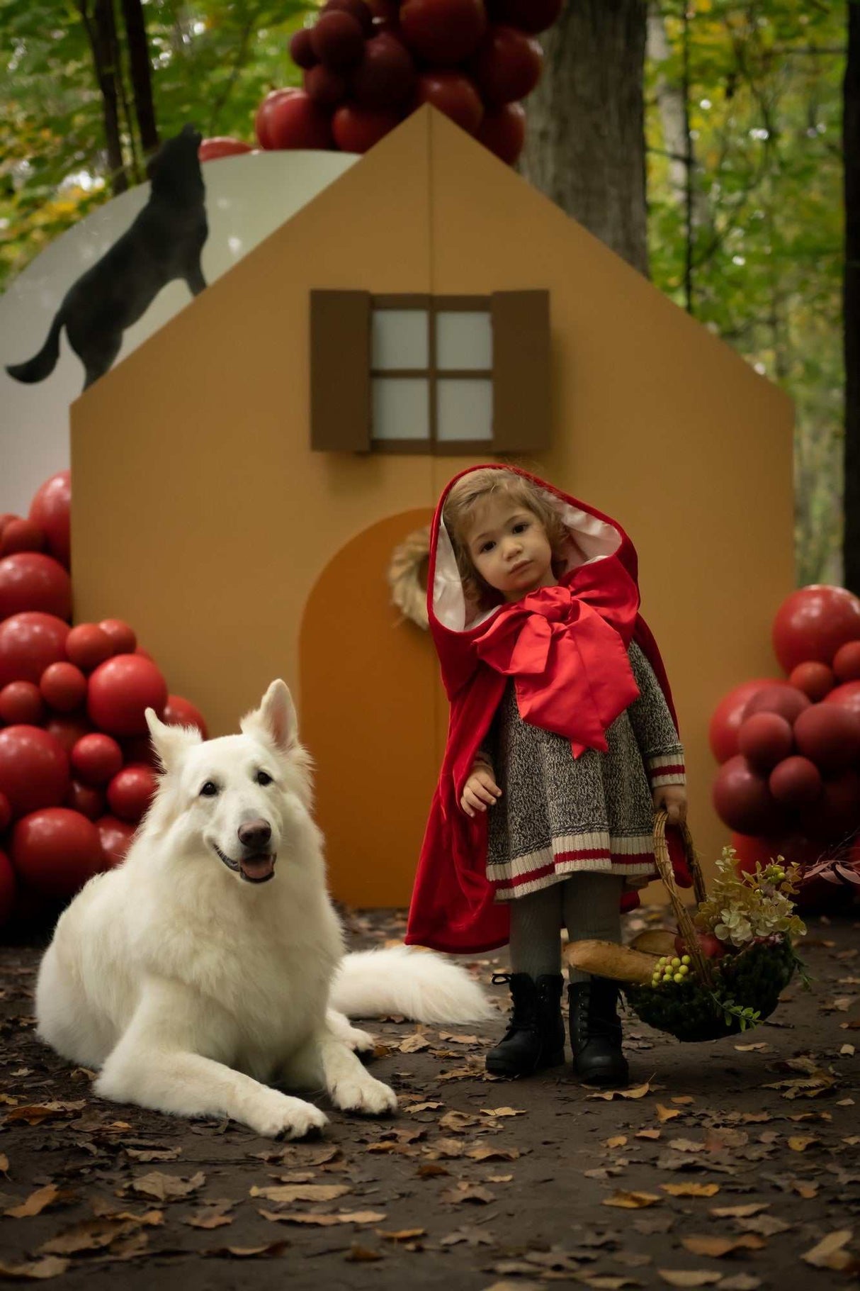 Rotkäppchen Cape 4-6 Jahre