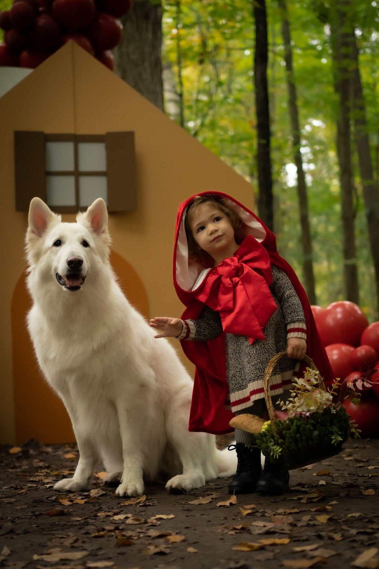 Rotkäppchen Cape 4-6 Jahre