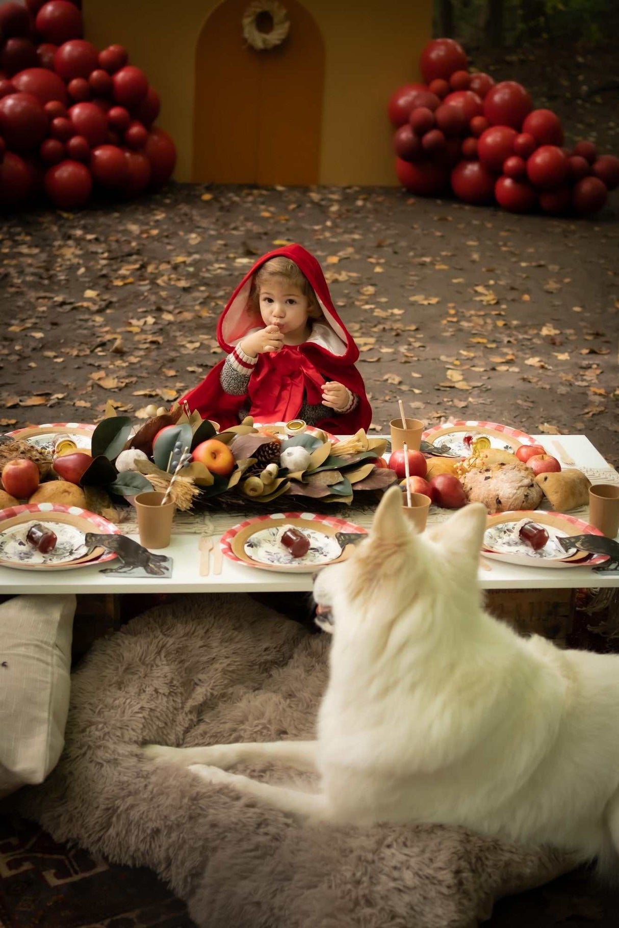 Rotkäppchen Cape 4-6 Jahre