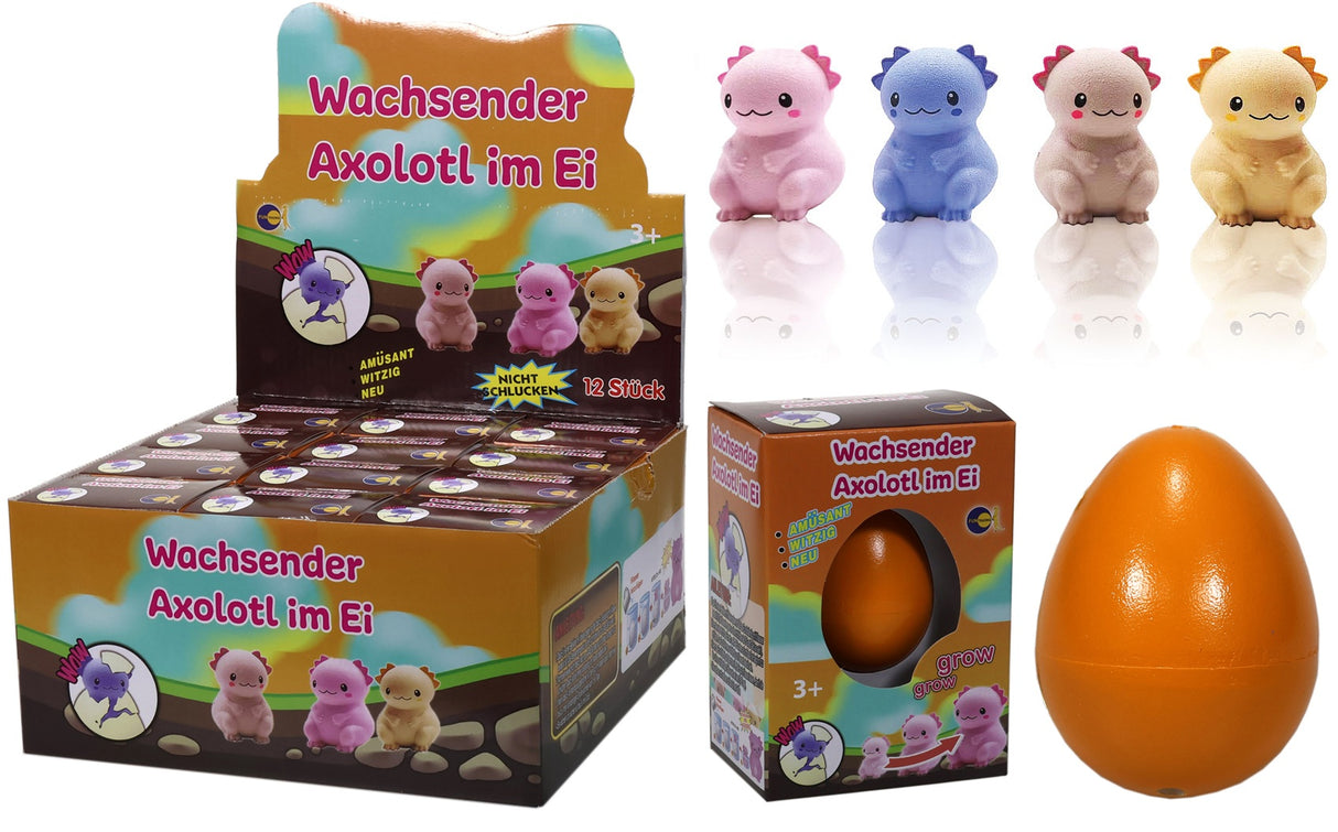 Wachsender Axoloti im Ei