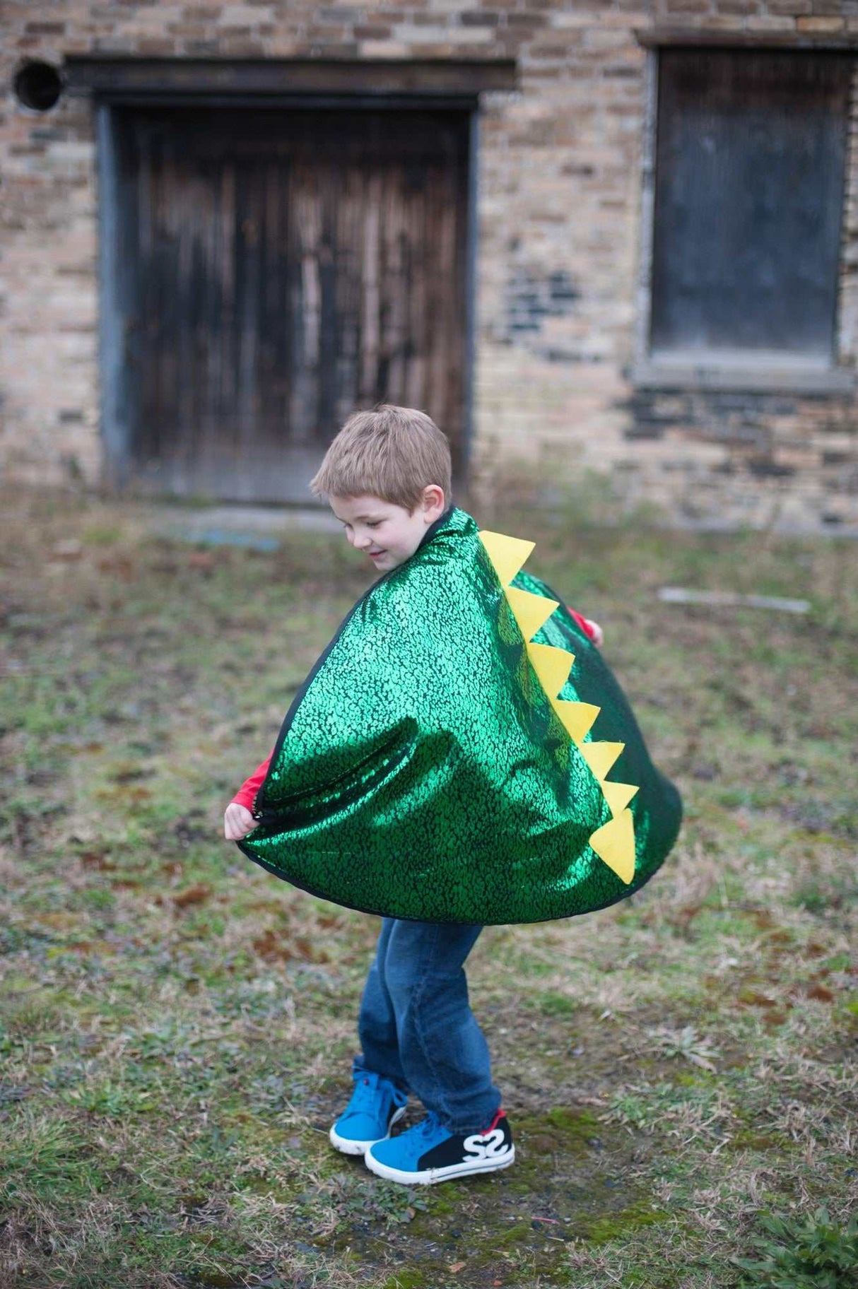 Drache/Ritter Wendecape 5-6 Jahre