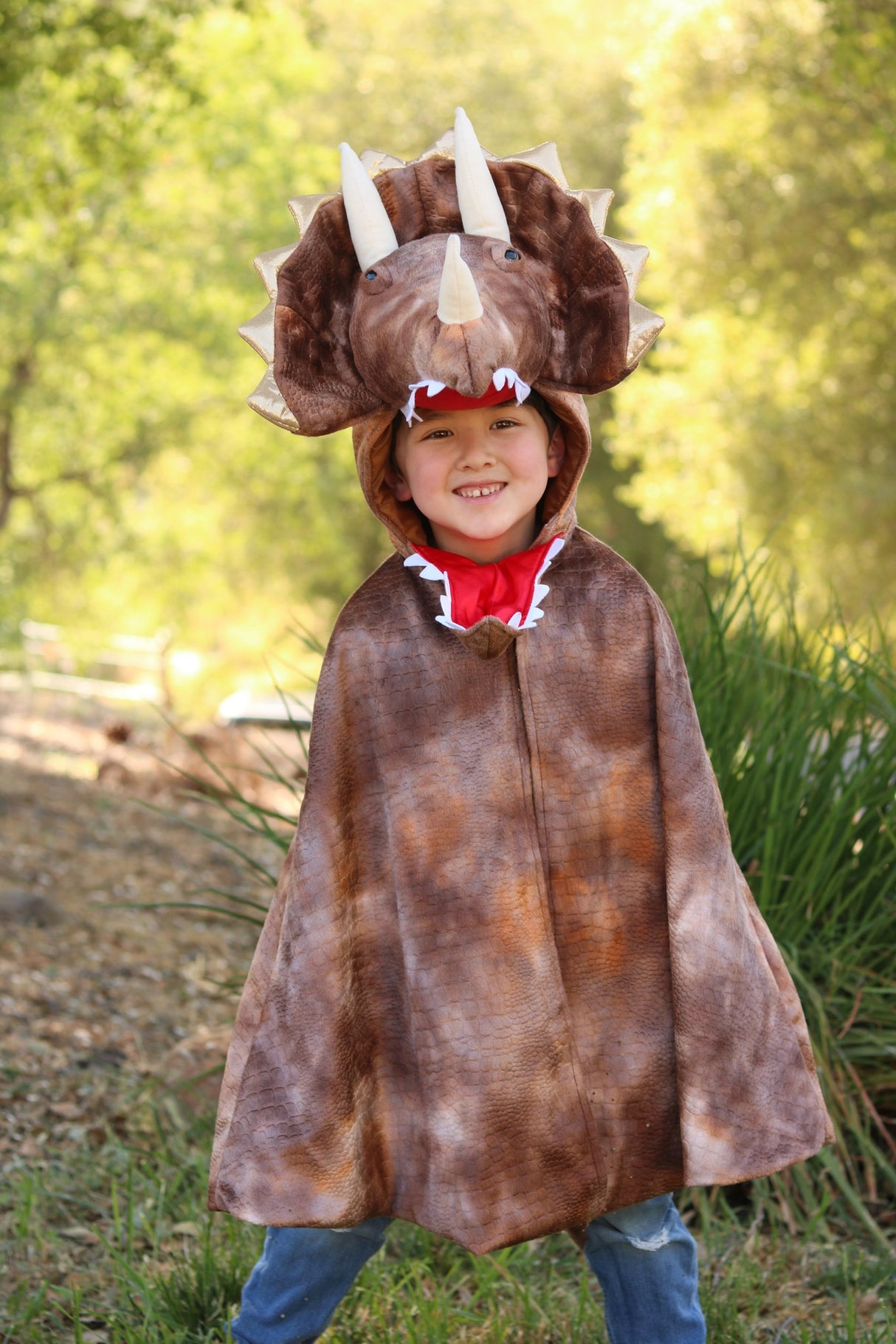 Dinosaurier Kostüm 4- 6 Jahre