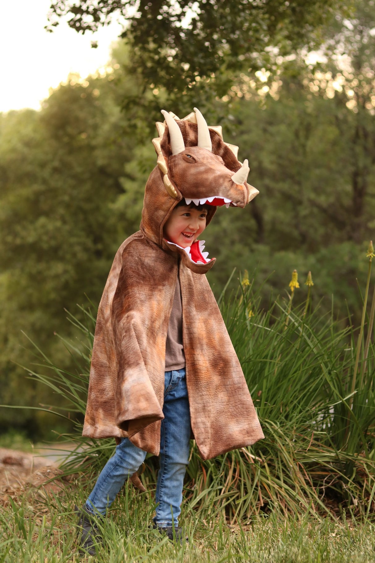 Dinosaurier Kostüm 4- 6 Jahre