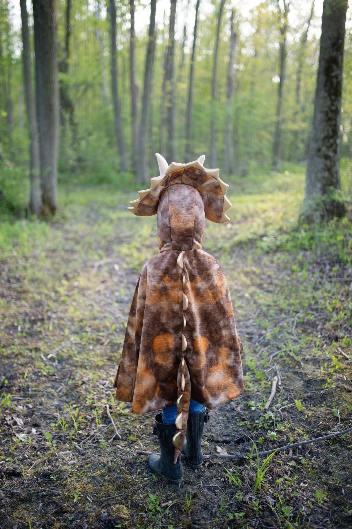 Dinosaurier Kostüm 4- 6 Jahre