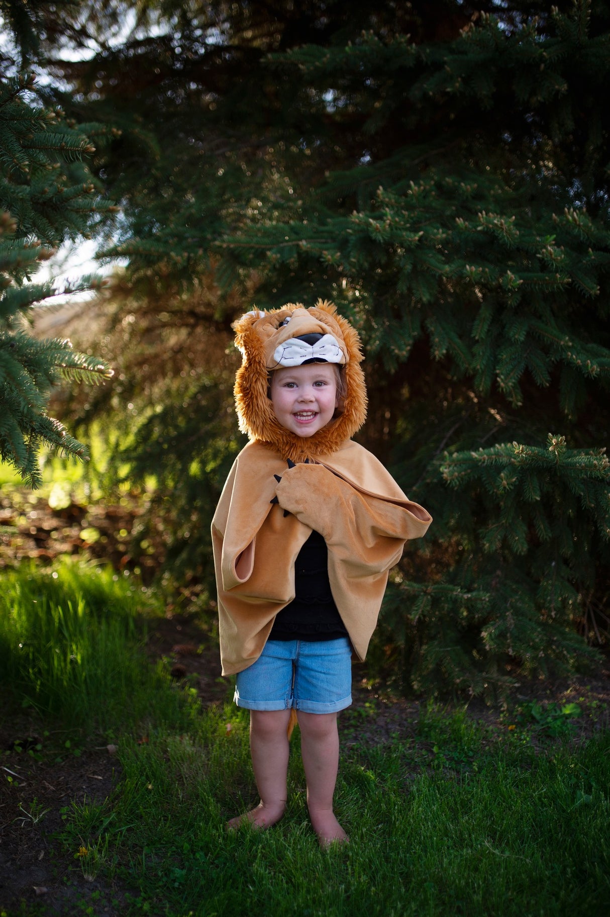 Löwen Cape 4-6 Jahre