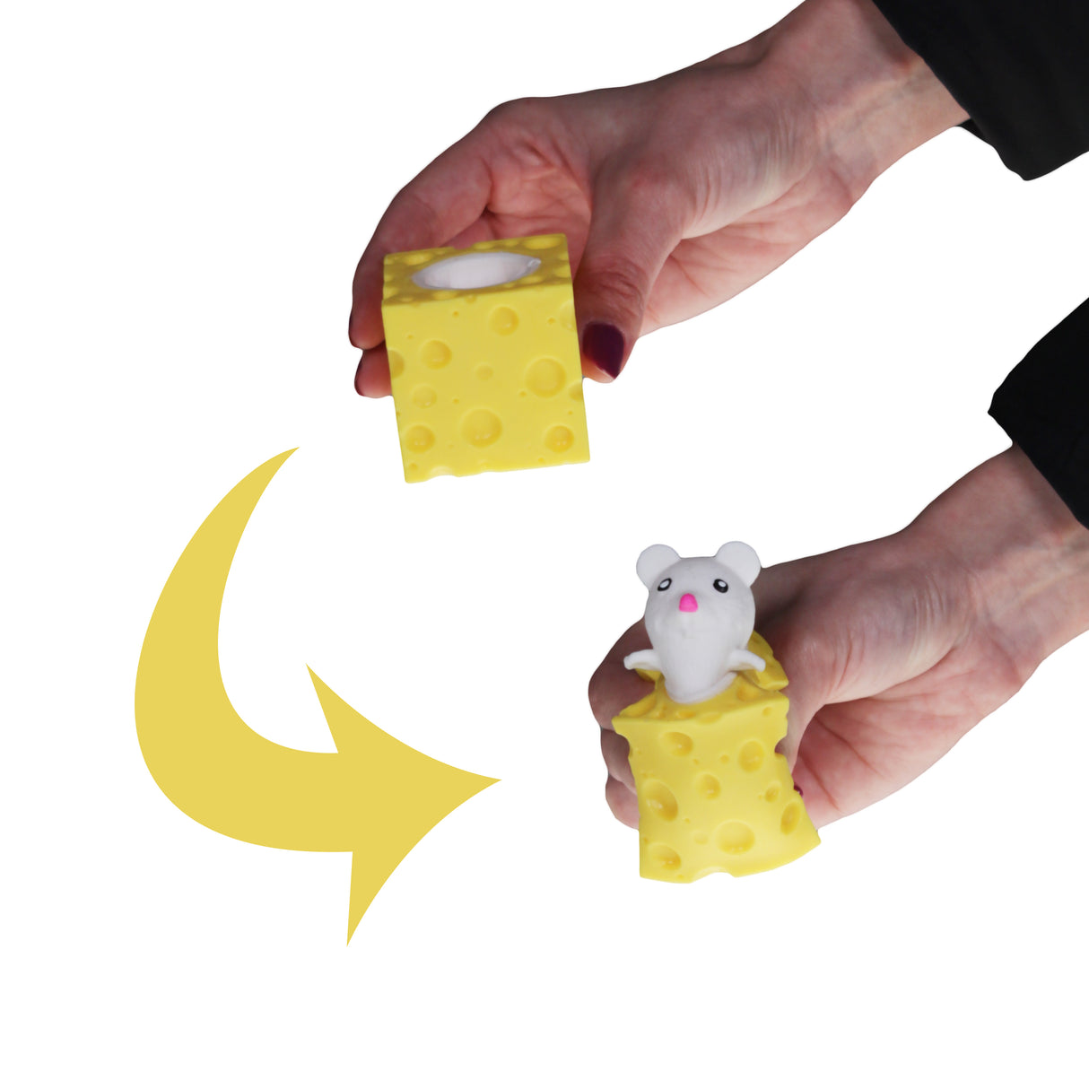 Quetsch Maus im Käse