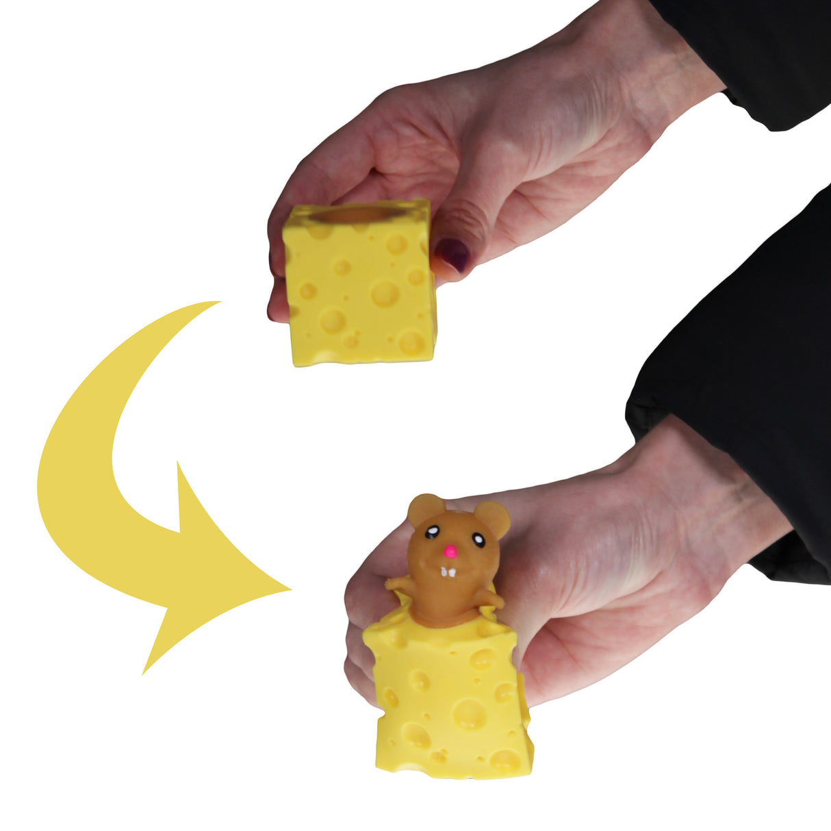 Quetsch Maus im Käse