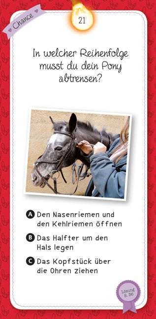 Das Quiz Pferde und Ponys