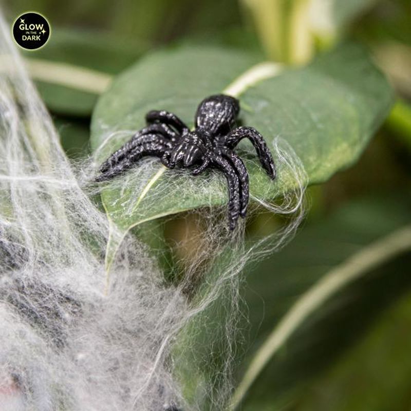 RETTE SICH WER KANN! Sticky Spider