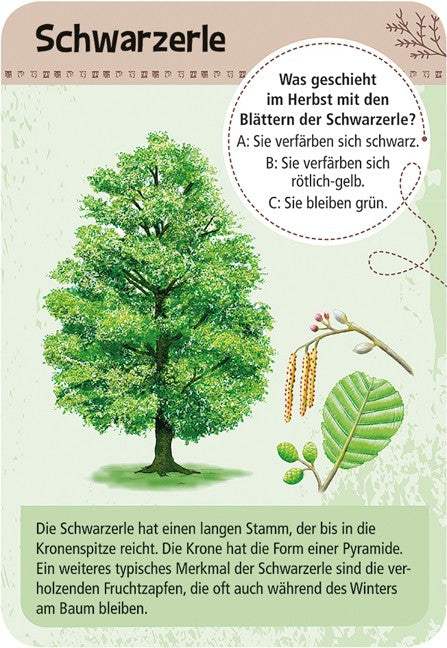 Expedition Natur 50 Heimische Bäume