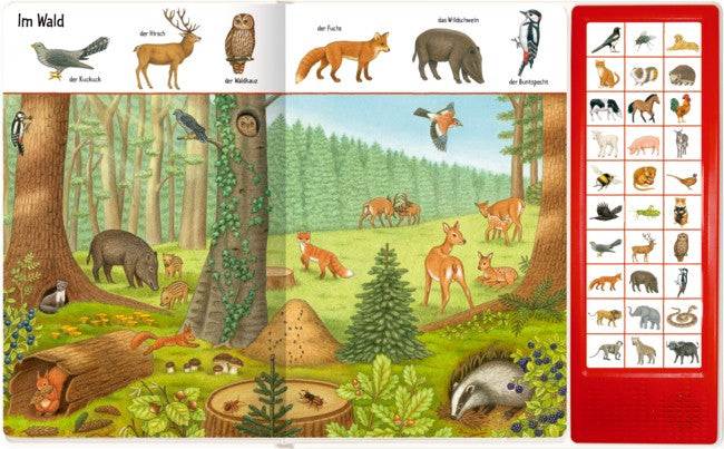 Bilder suchen-Wörter finden: So viele Tierstimmen