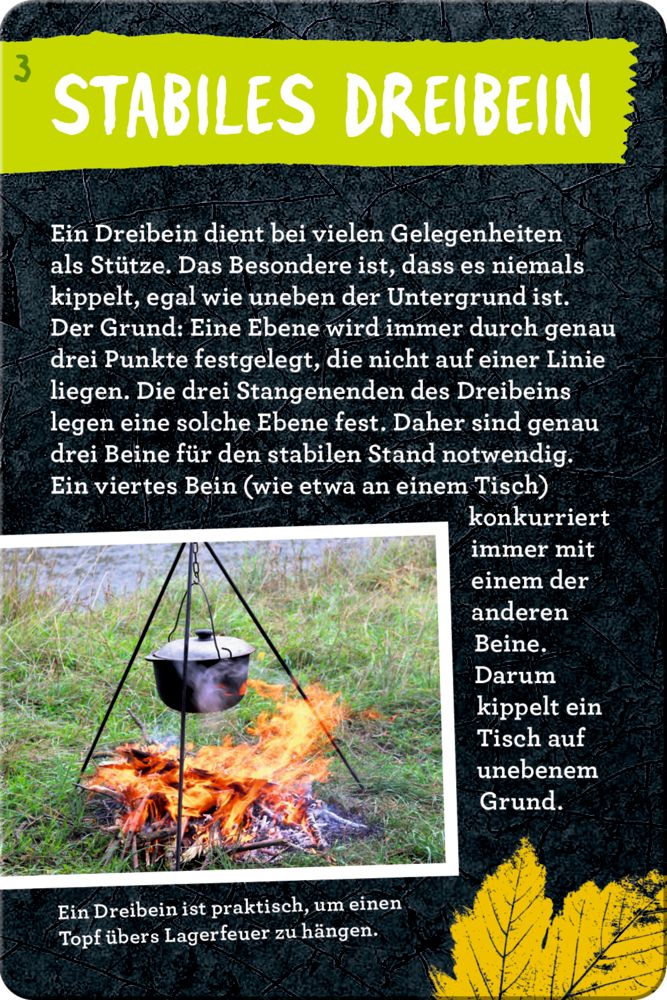 50 Outdoor Experimente - Nature Zoom