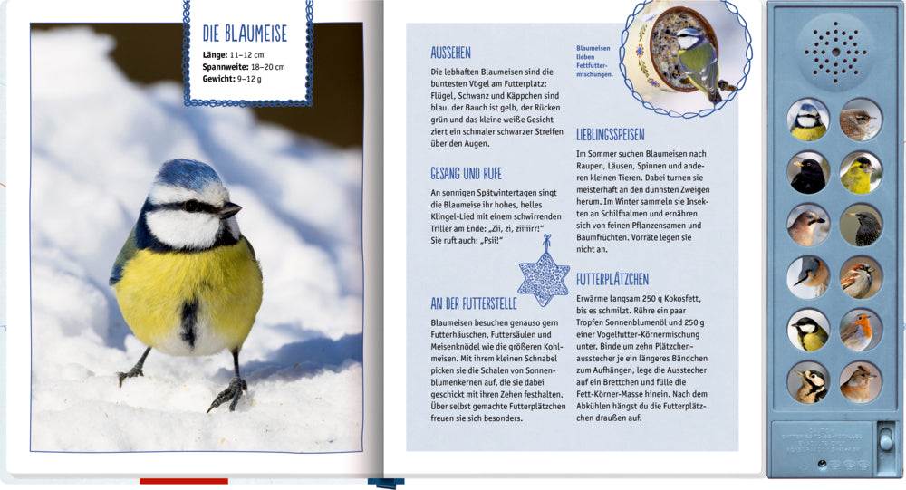 Vögel im Winter bei dir zu Gast