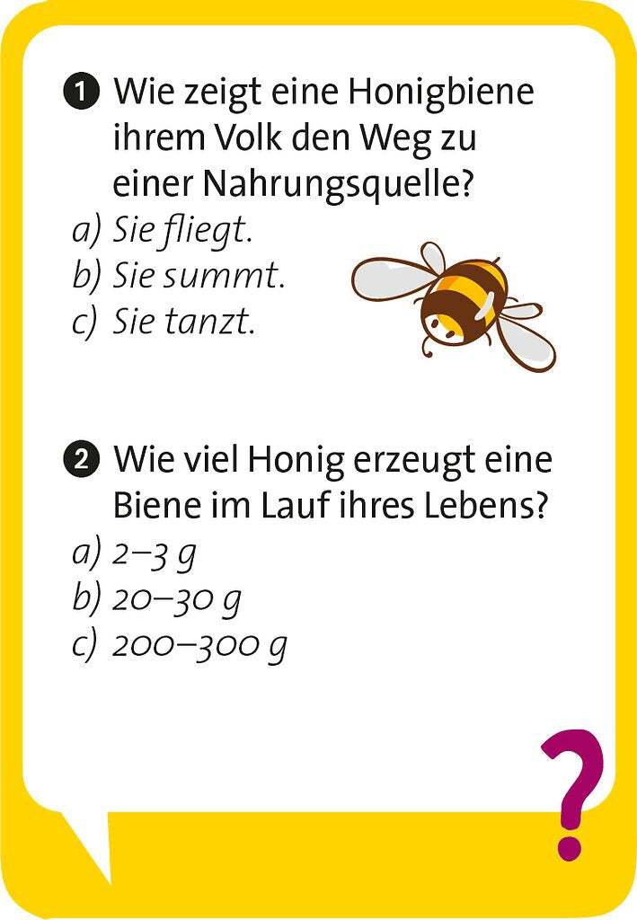 Pocket Quiz junior Unglaublich, aber wahr