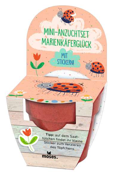 Mini-Anzuchtset Bienenglück