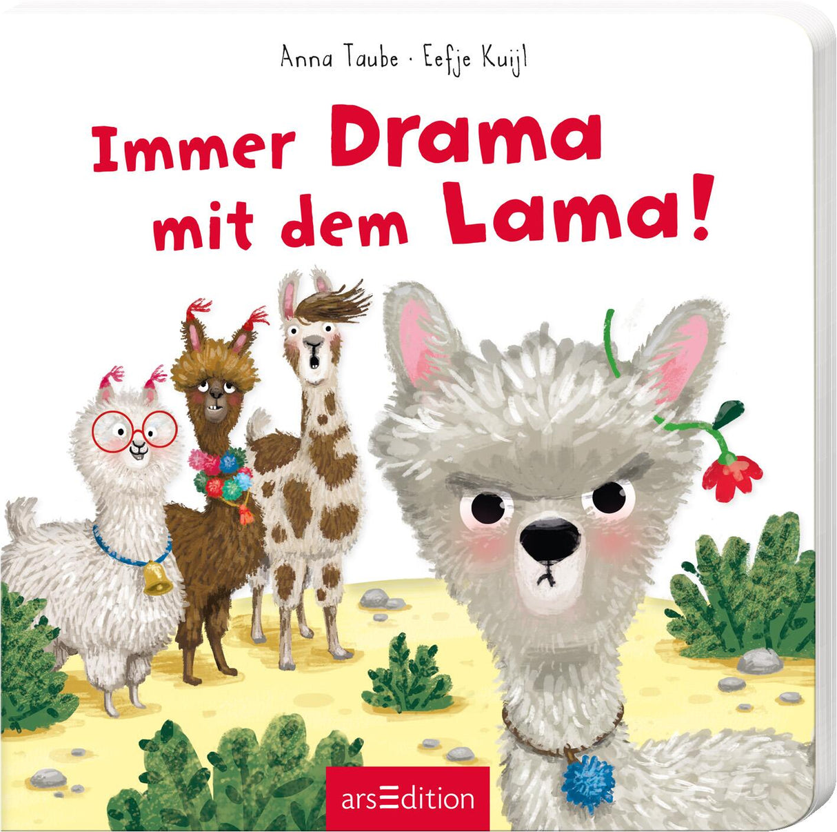 Kleines Lama mit schlechter Laune im Kinderbuch Immer Drama mit dem Lama