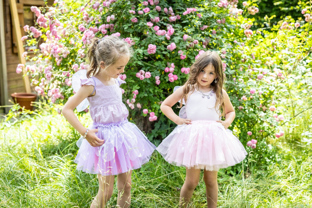 Schmetterlingsrock & Flügel 4-6 Jahre