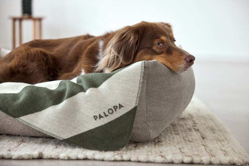 Hundedecke- Ida/ Streifen Grün