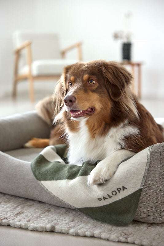 Hundedecke- Ida/ Streifen Grün