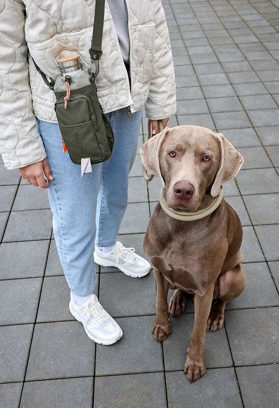 Flaschen & Leckerli Tasche- Boudi/ dark olive