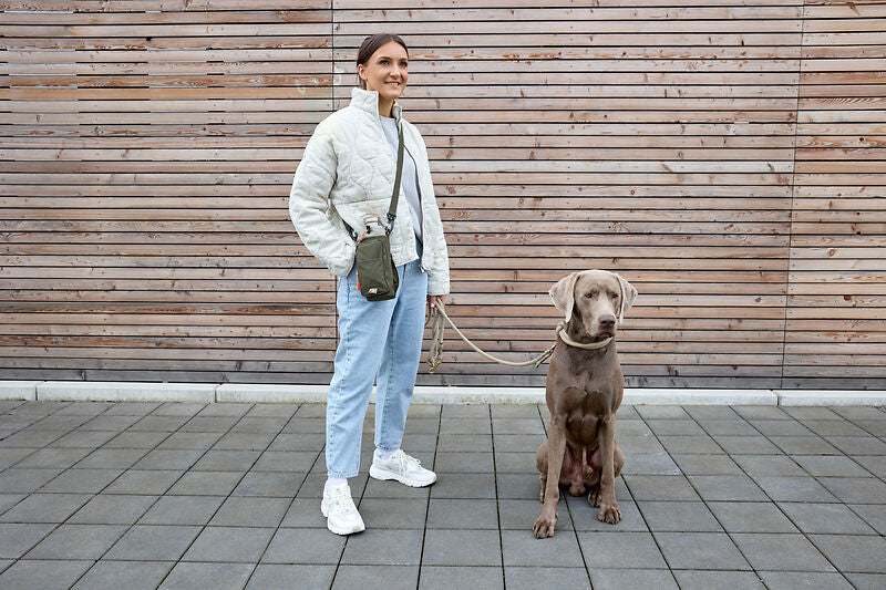 Flaschen & Leckerli Tasche- Boudi/ dark olive