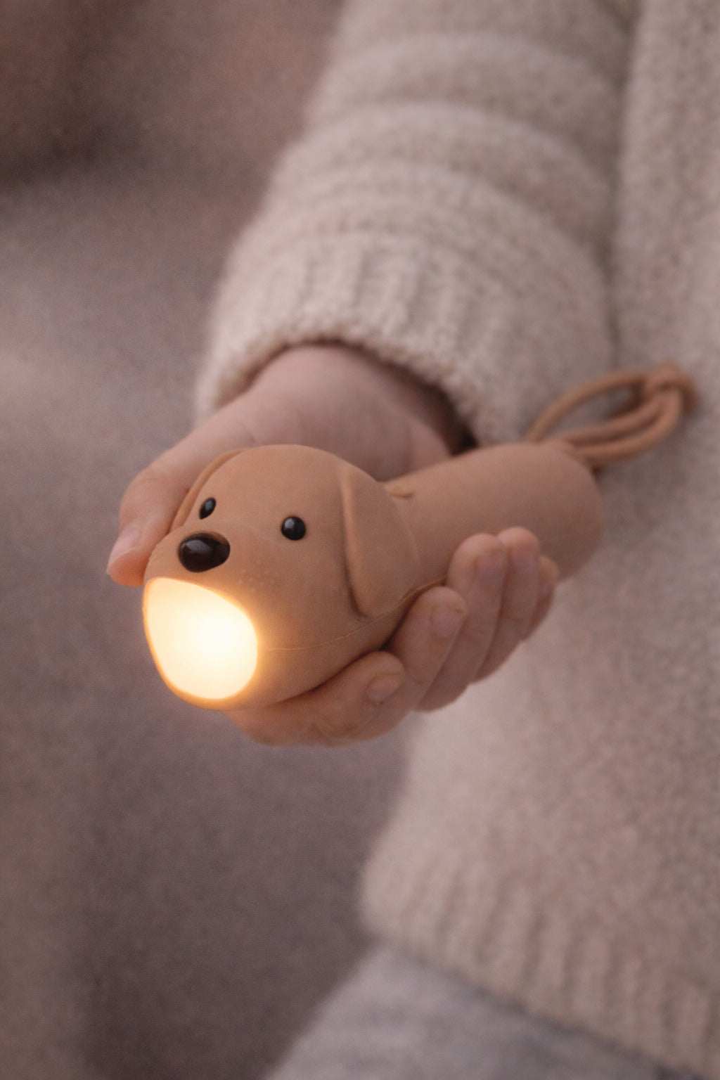 Taschenlampe Hund