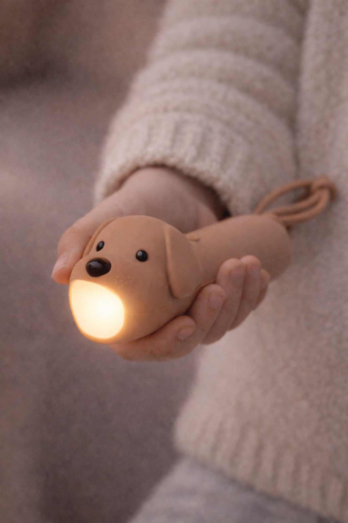 Taschenlampe Hund