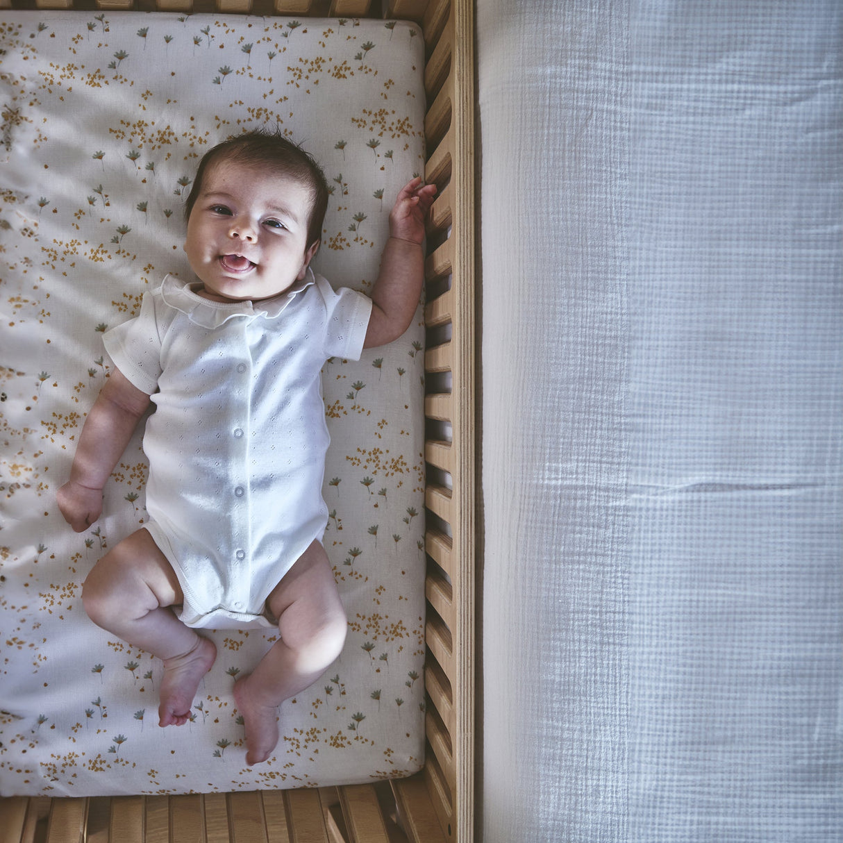 Beistellbett KODO inkl. Matratze