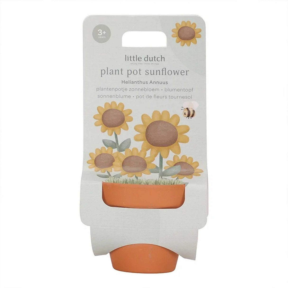 Little Dutch Blumentopf Sonnenblume Terrakotta mit Sonnenblumensamen für Kinder Gartenstart