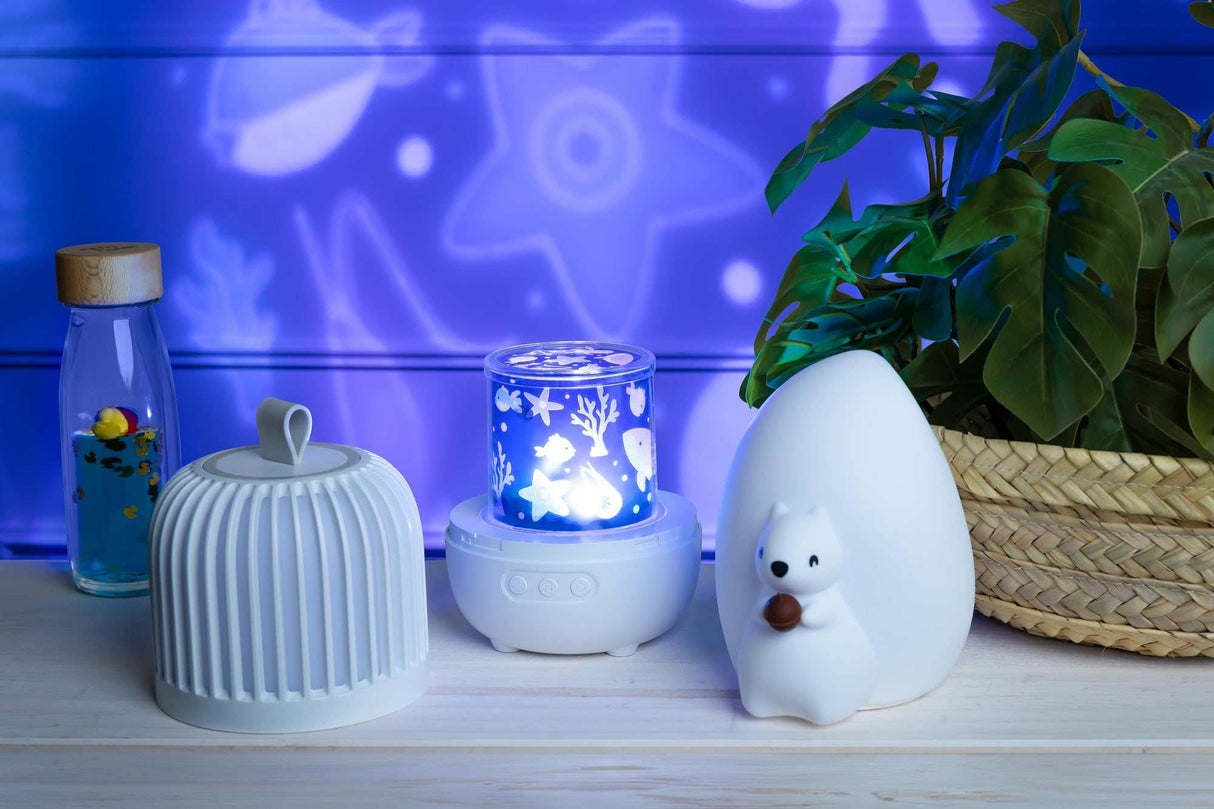 Sensory Bottle/ Duck