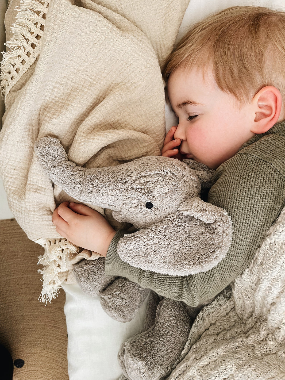 Kuscheltier Elefant klein