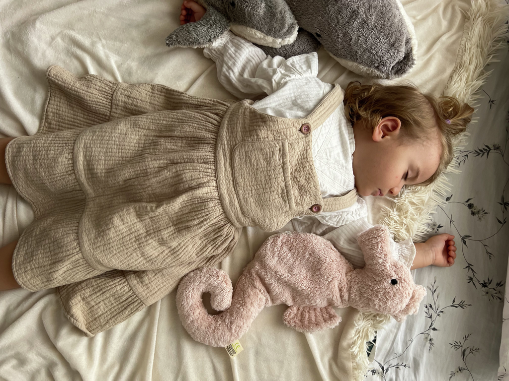 Kuscheltier Seepferdchen