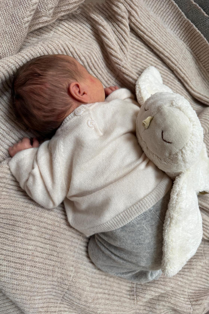 Kuscheltier & Wärmekissen Schneeeule klein