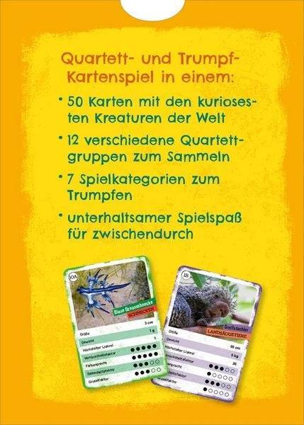 Das verrückte Quartett