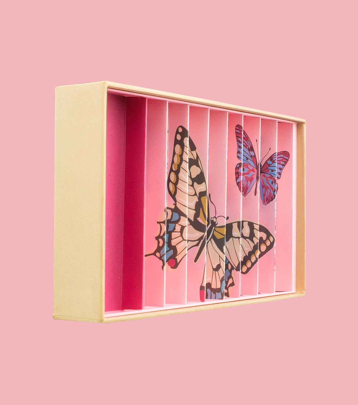 Große Murmelbox Anamorphe Schmetterlinge