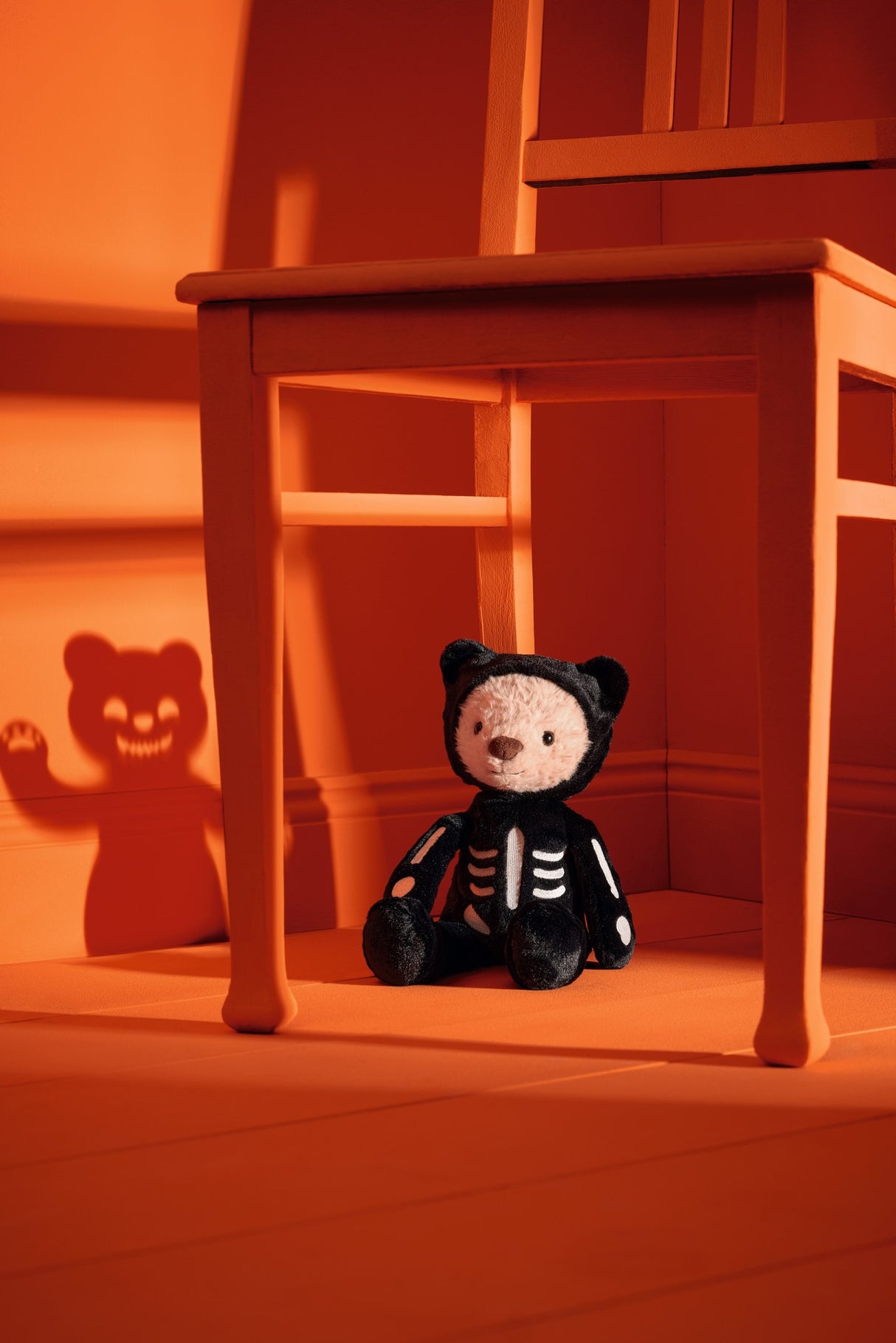 Teddy Mr. Bones