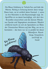 Expedition Natur 50 wundersame Tierrätsel: InsektenMosesExpedition Natur 50 wundersame Tierrätselkorbmayer. ganz besonders. für kinder.