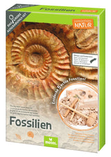 Expedition Natur Das große Fossilien-Ausgrabungs-Set