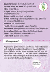Expedition Natur - 50 essbare Wildpflanzen