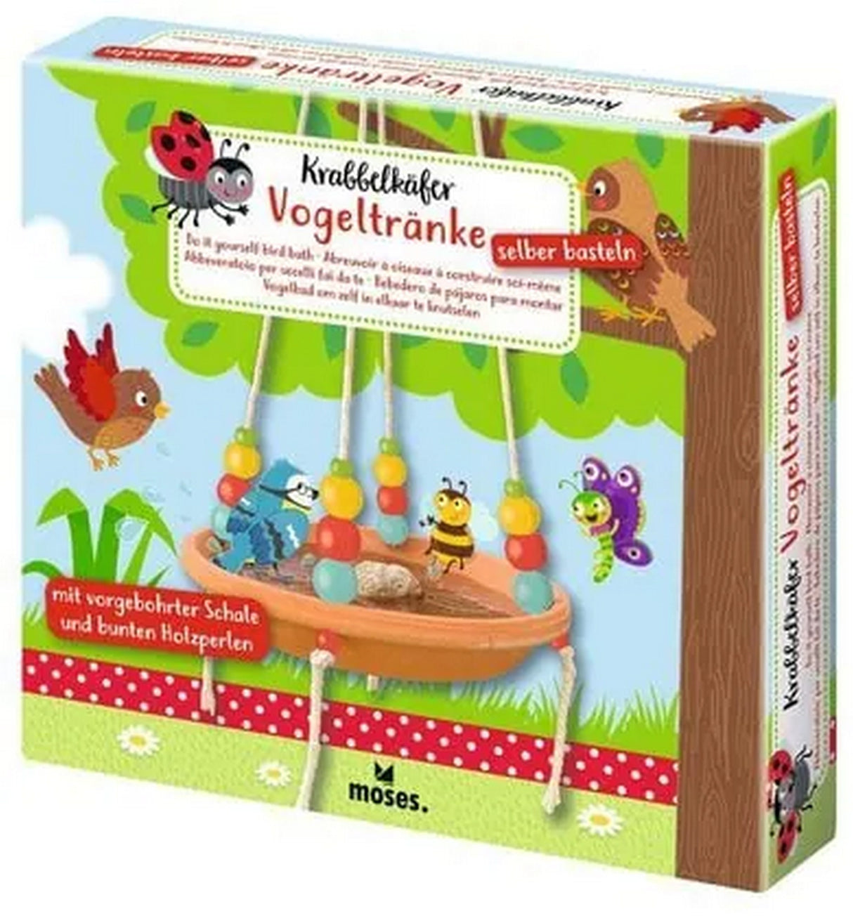 Krabbelkäfer Vogeltränke