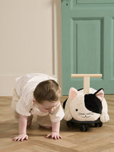 Rutscher Katze Sture