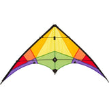 Drache Rookie Rainbow