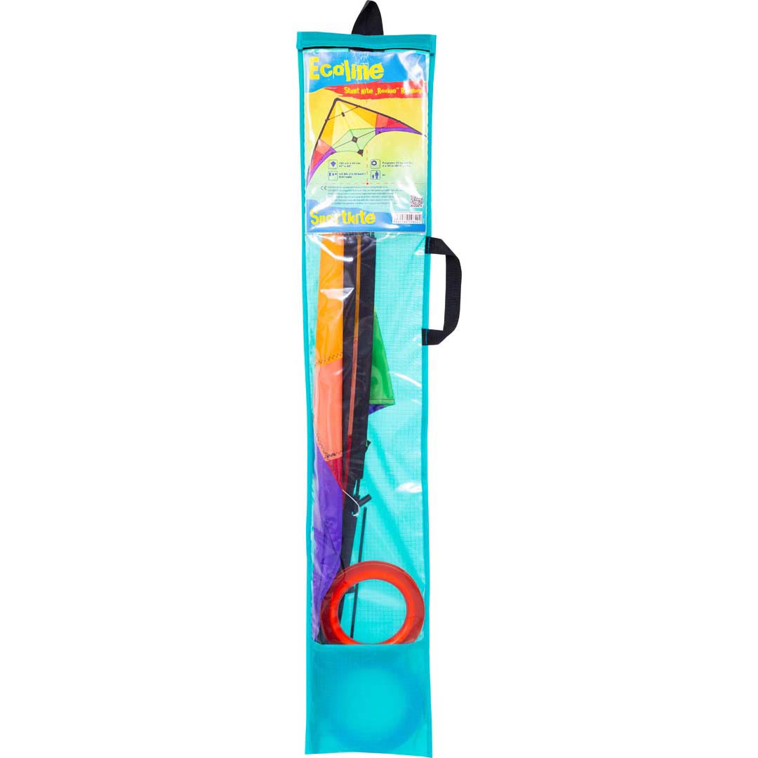 Drache Rookie Rainbow