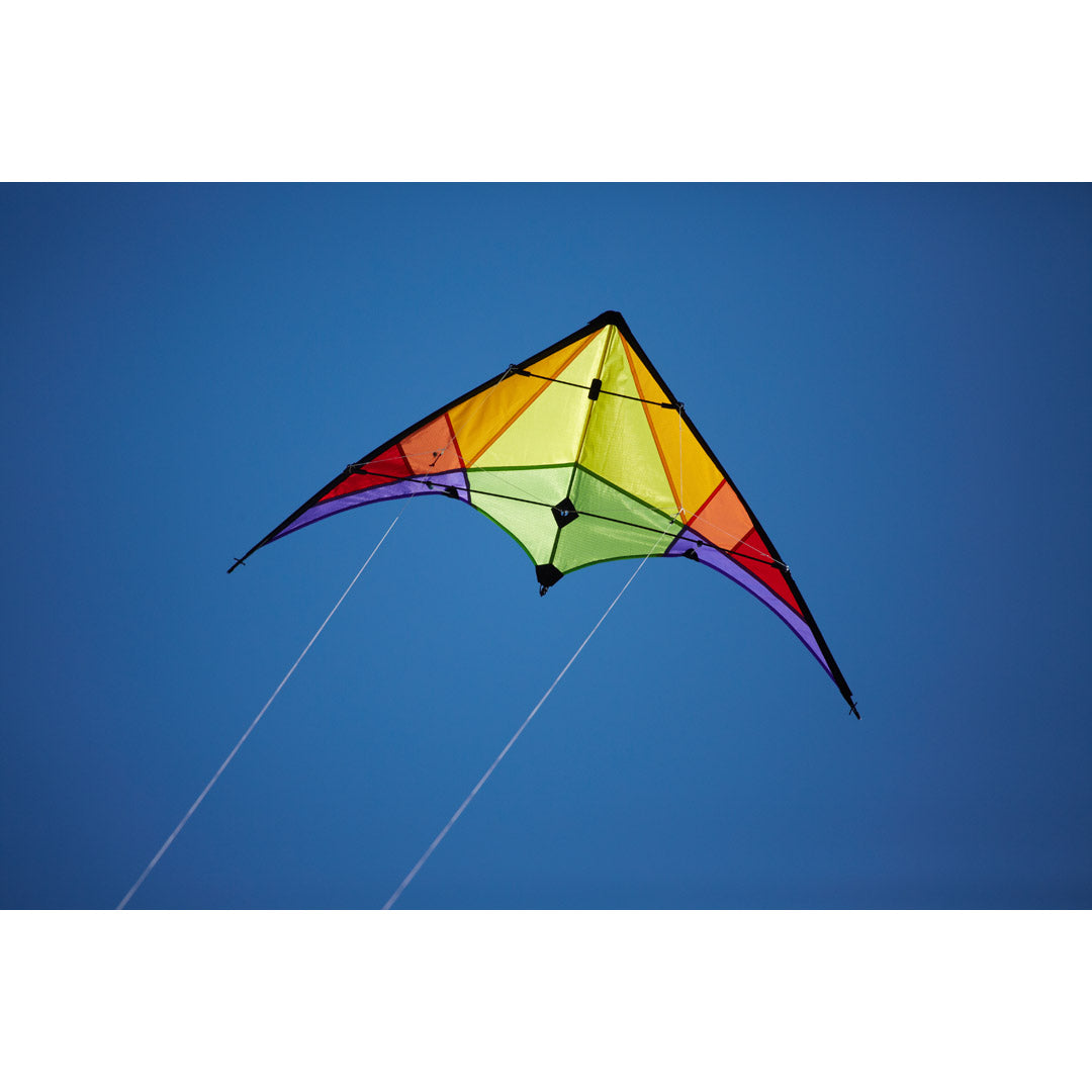 Drache Rookie Rainbow