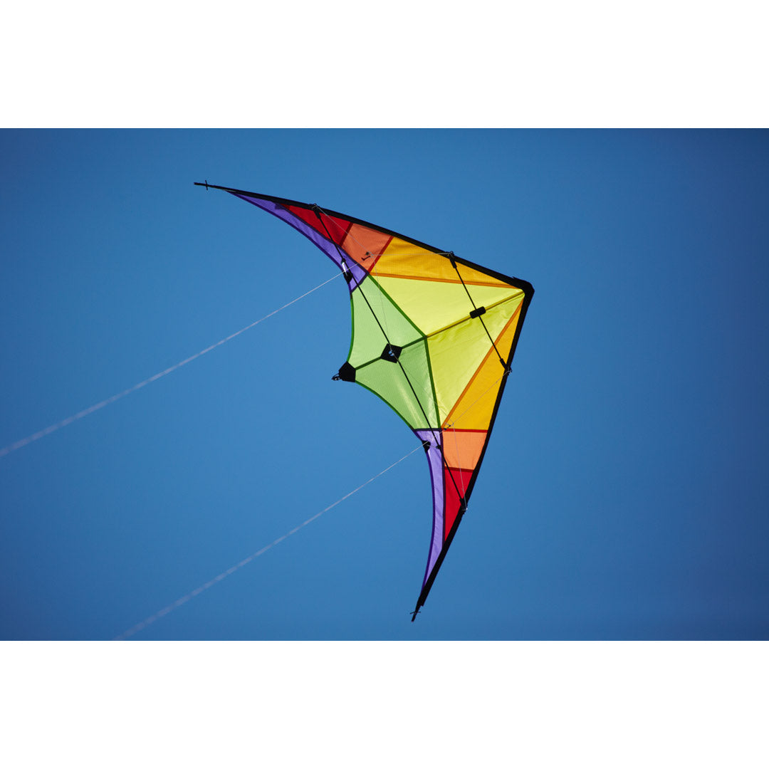 Drache Rookie Rainbow
